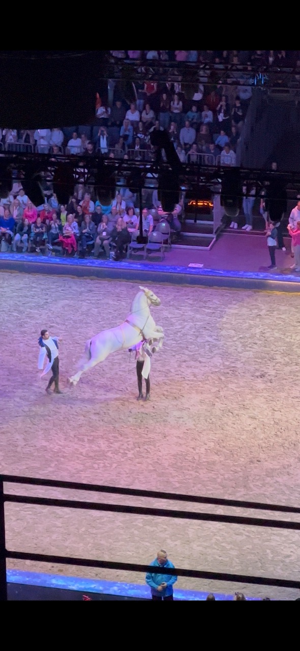 Cavalluna Showbild