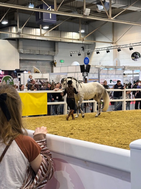 Equitana Jugend